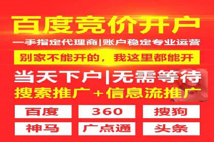 案例解析：竞价广告效果评估与优化